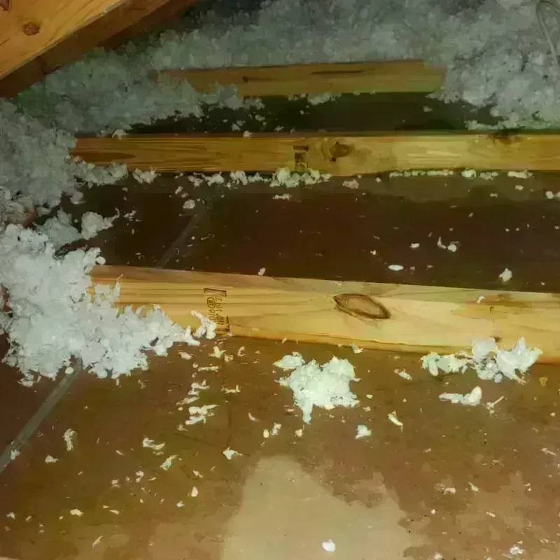 Attic Water Damage in Johnson City, TN