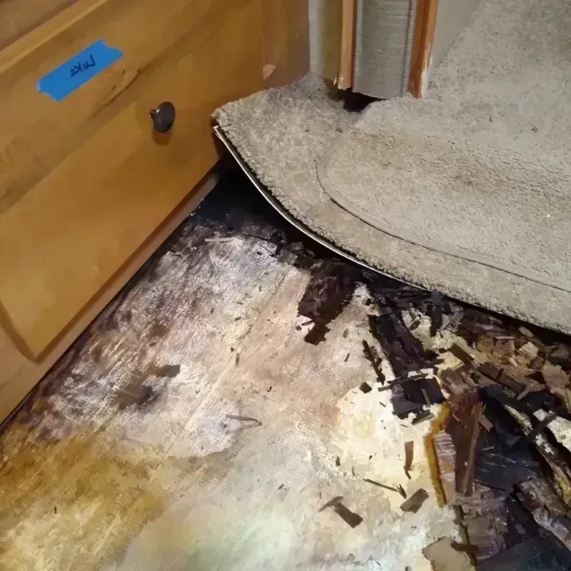 Wood Floor Water Damage in Johnson City, TN